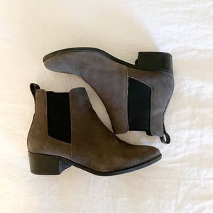 Steve Madden Gray Chelsea Boot